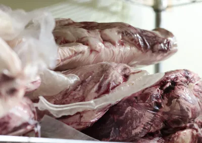 肉