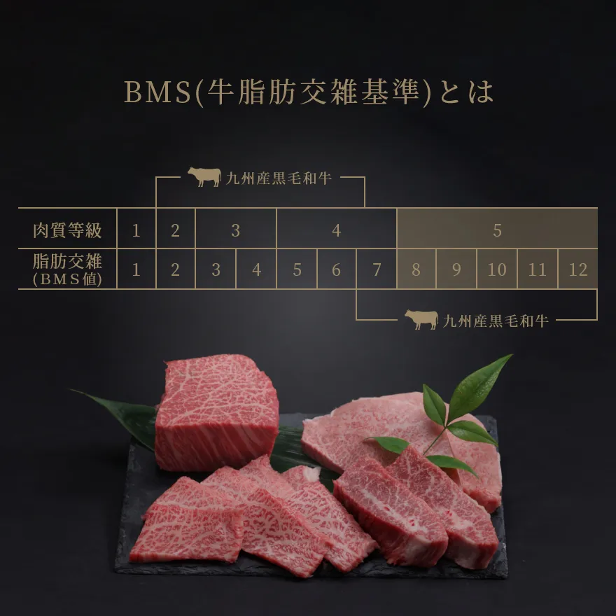 BMS(牛脂肪交雑基準)とは